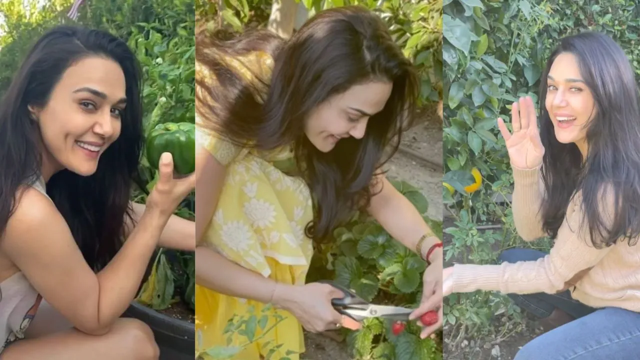 Preity (1)