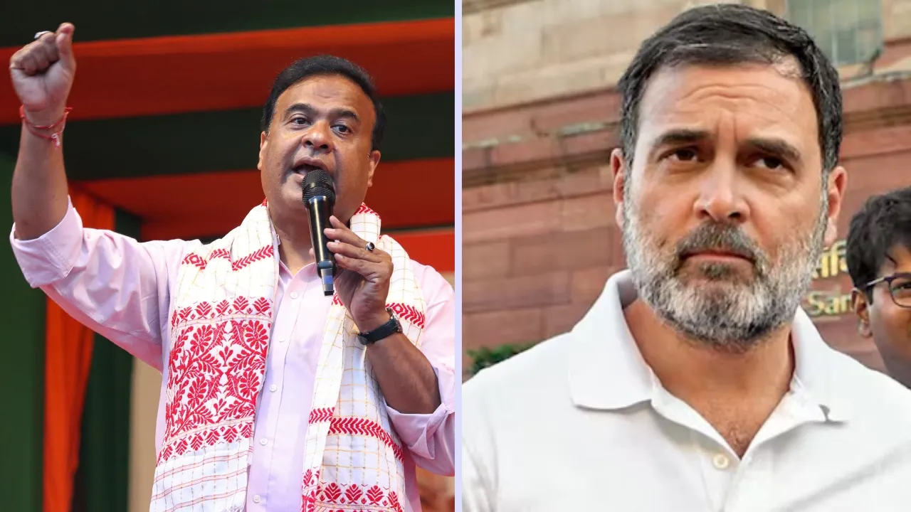 Assam CM Himanta Biswa Sarma slams Rahul Gandhi over comment on Budget 2025