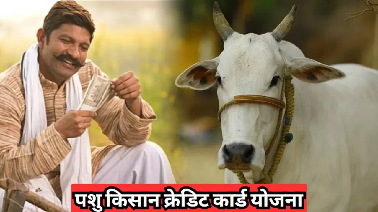 Pashu Kisan Credit Card