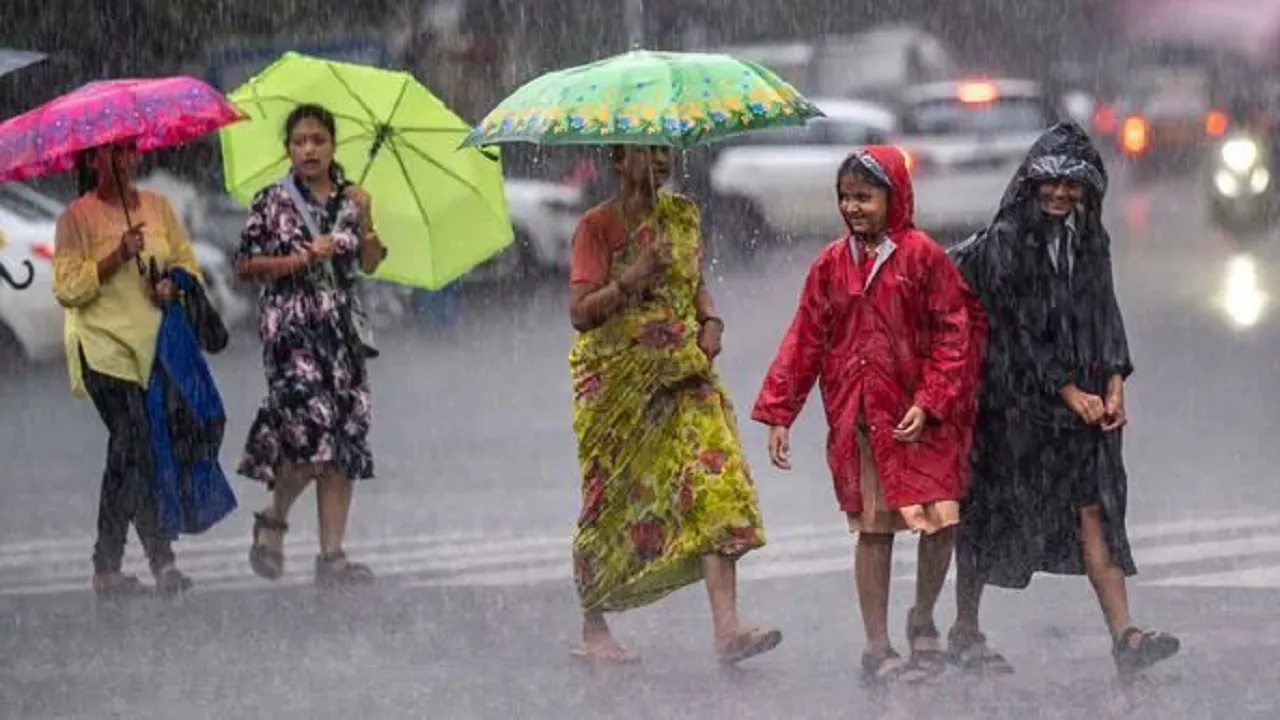 Rain Alert 5 February