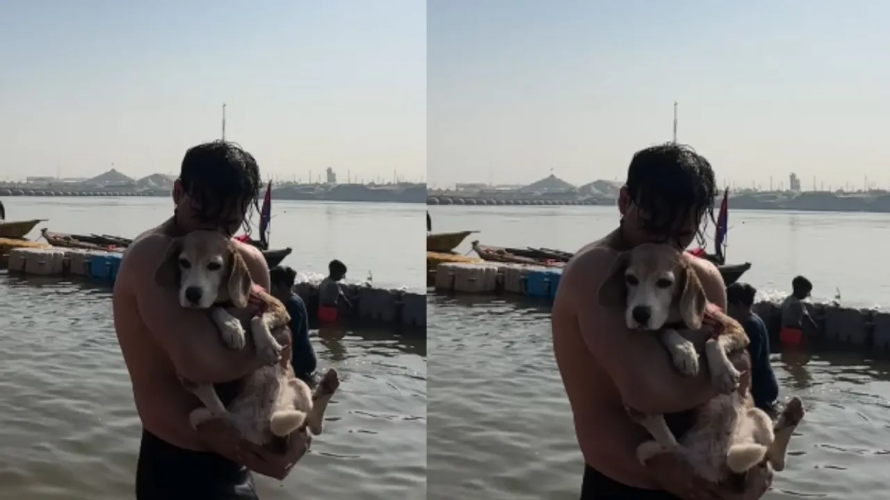 viral dog video sangam