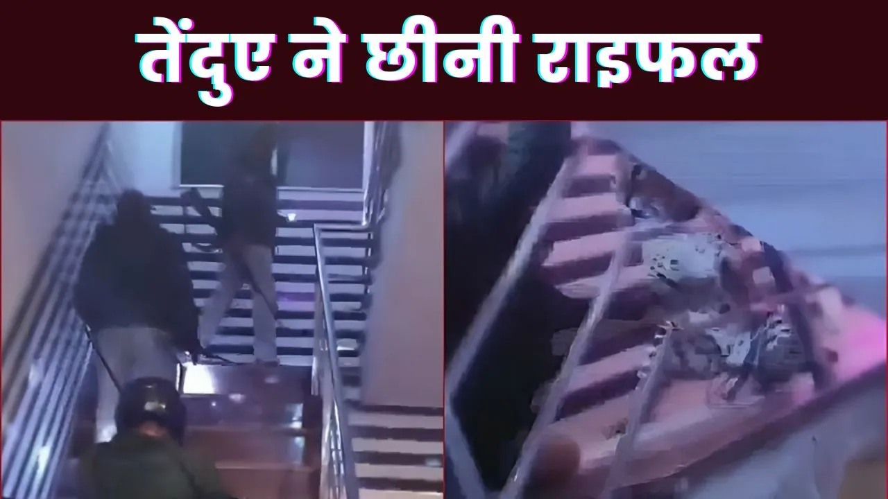 UP News