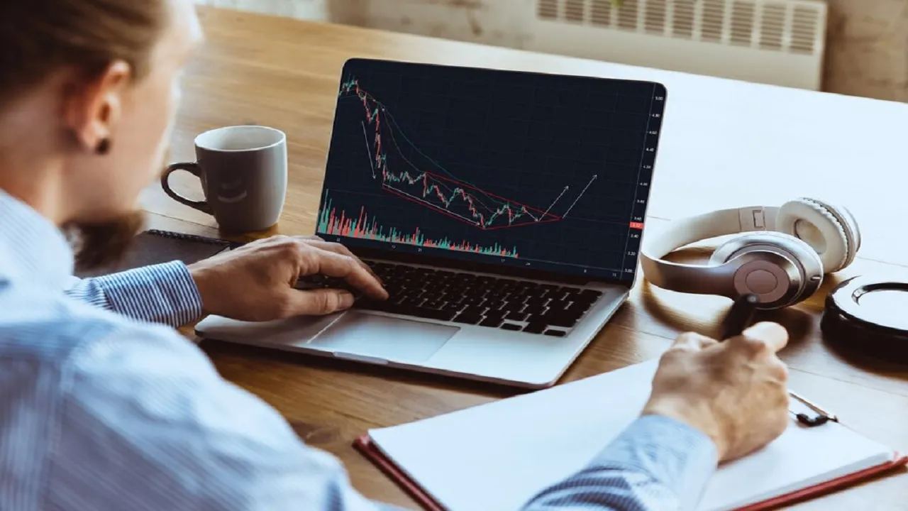 Stock market  falls 20  feb