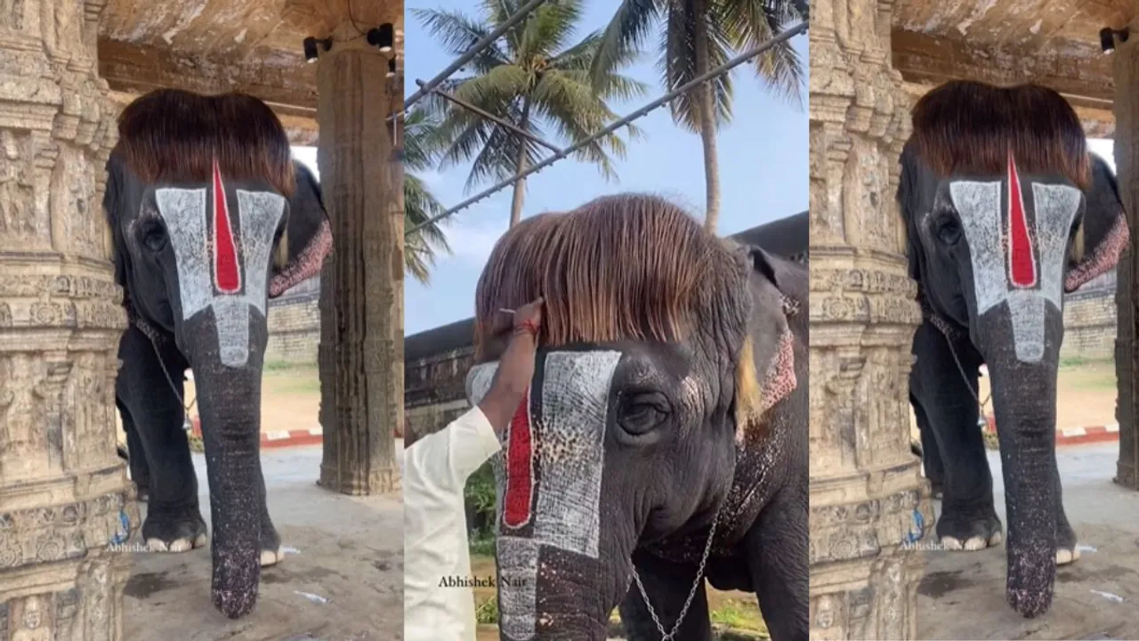 hathi bob cut hair style