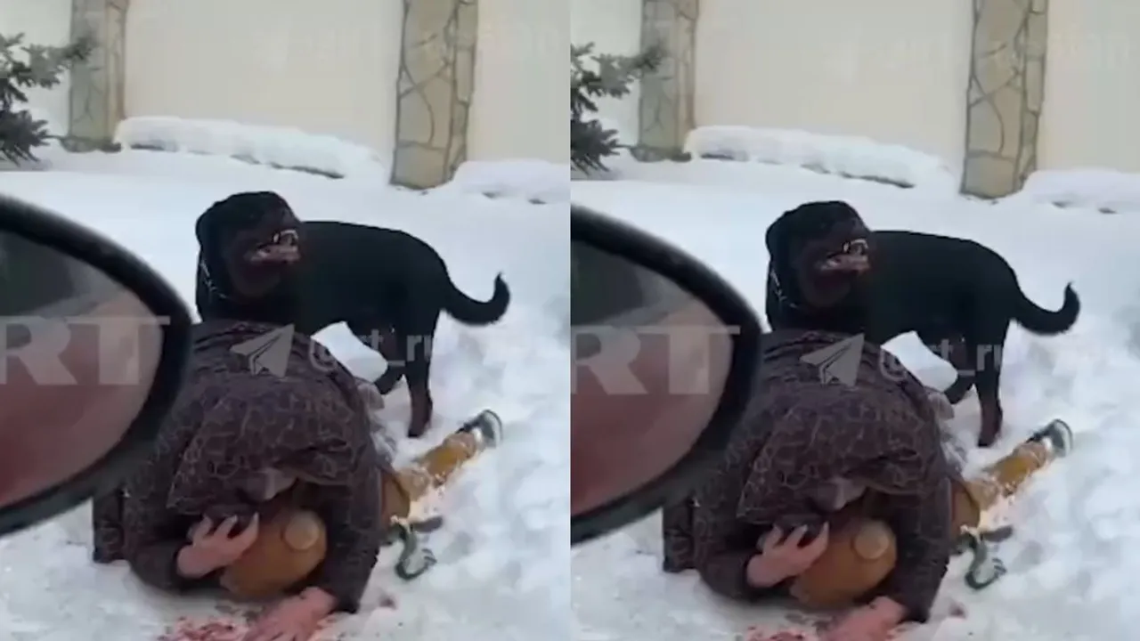 _Rottweiler attack kids mom saves
