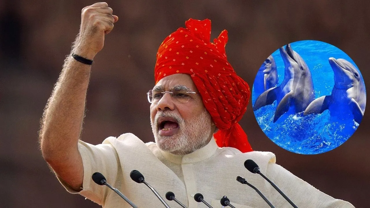 pm modi dolphin image