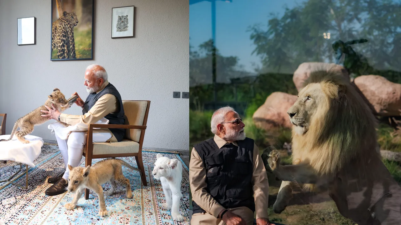11 PM Modi 