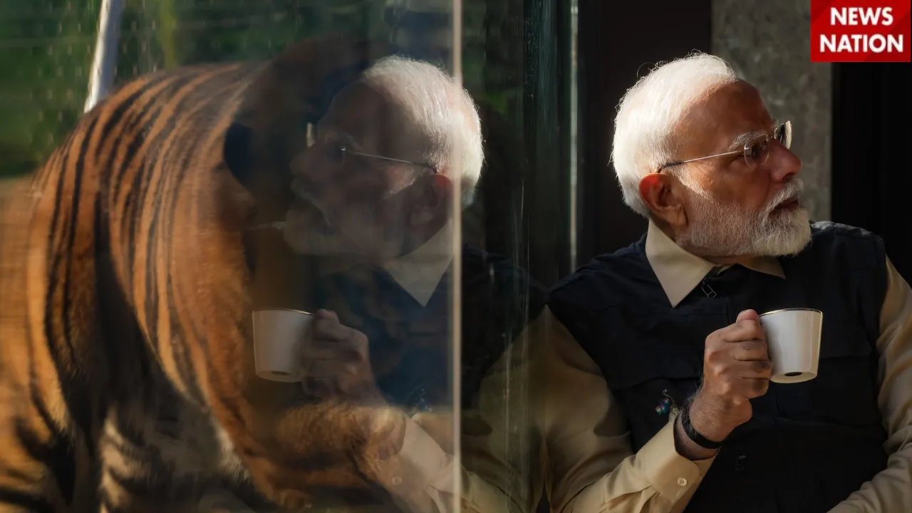 2 PM Modi lion