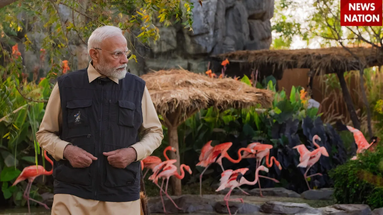 3 PM Modi saras