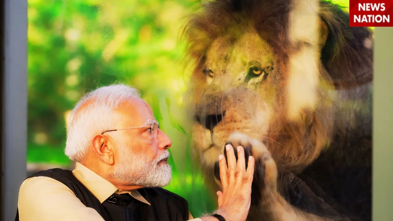 PM Modi_Title