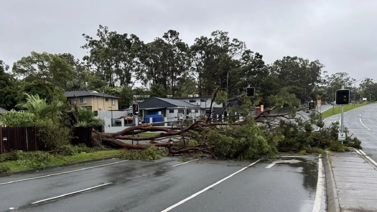 Cyclone Alfred
