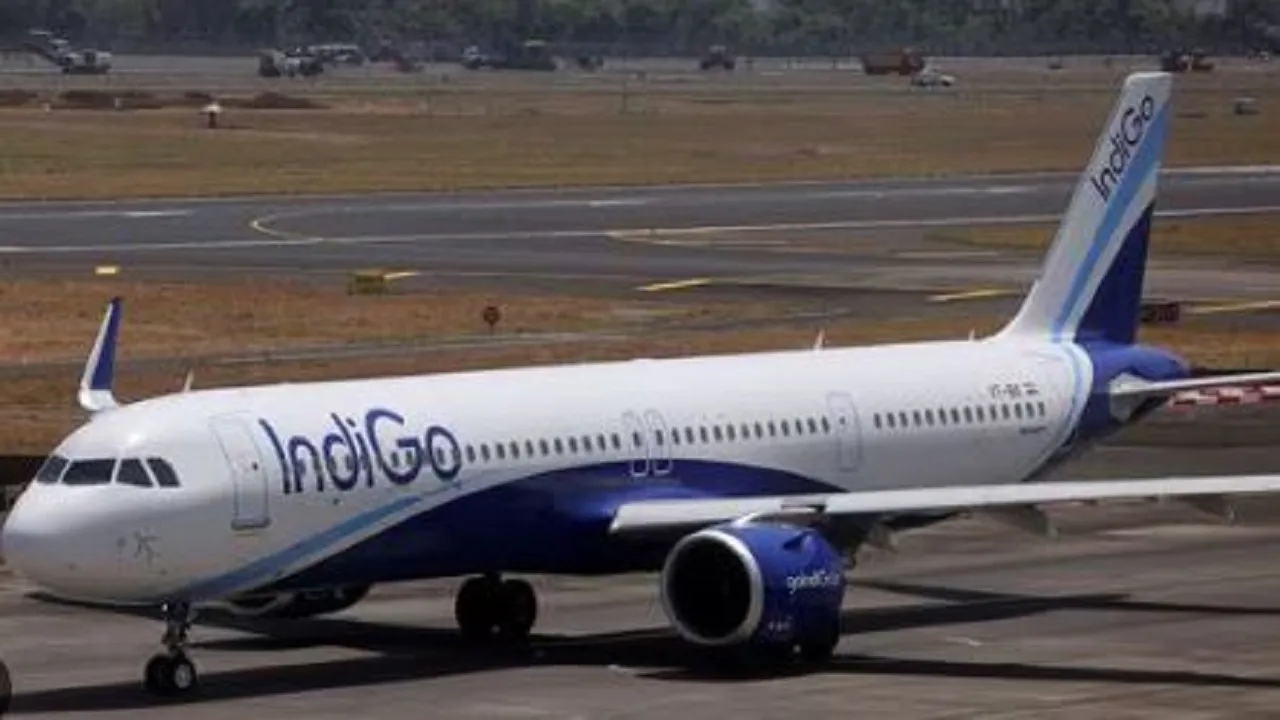 indigo
