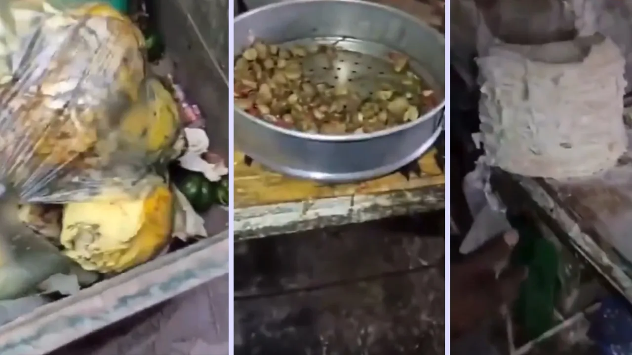 Momos Factory Dog Head Found in hindi