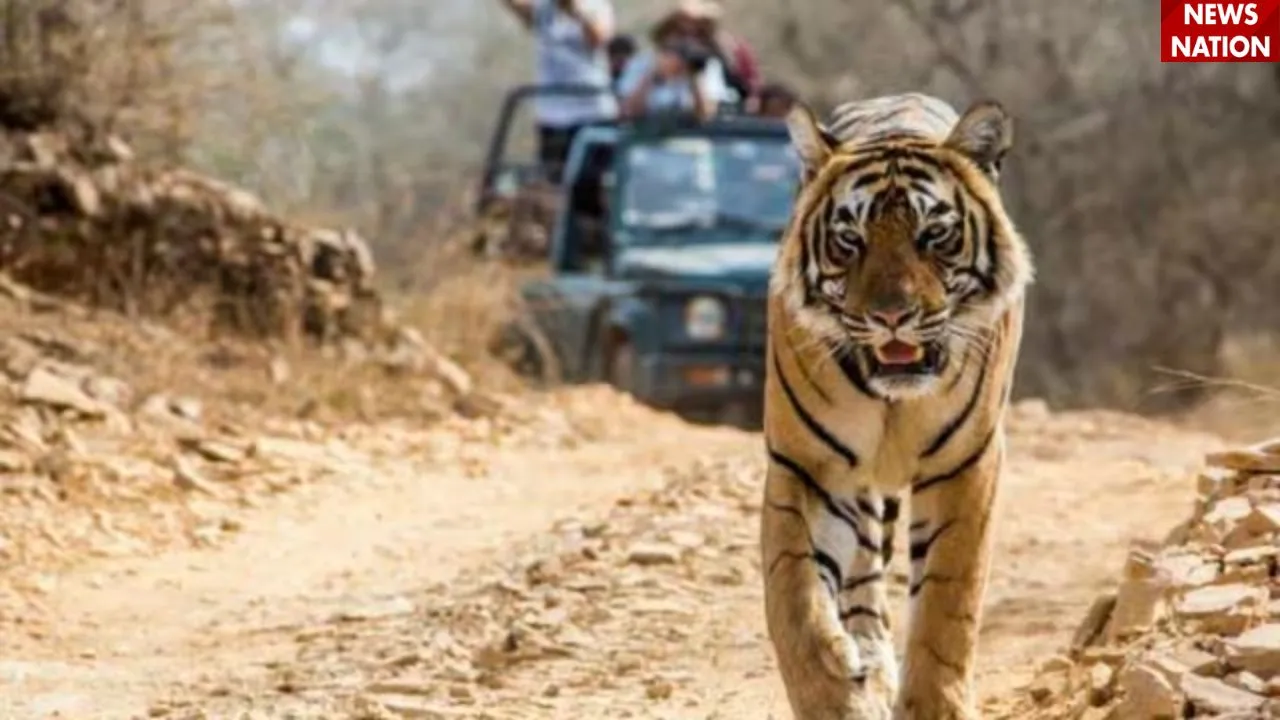 जिम कॉर्बेट टाइगर रिजर्व, उत्तराखंड