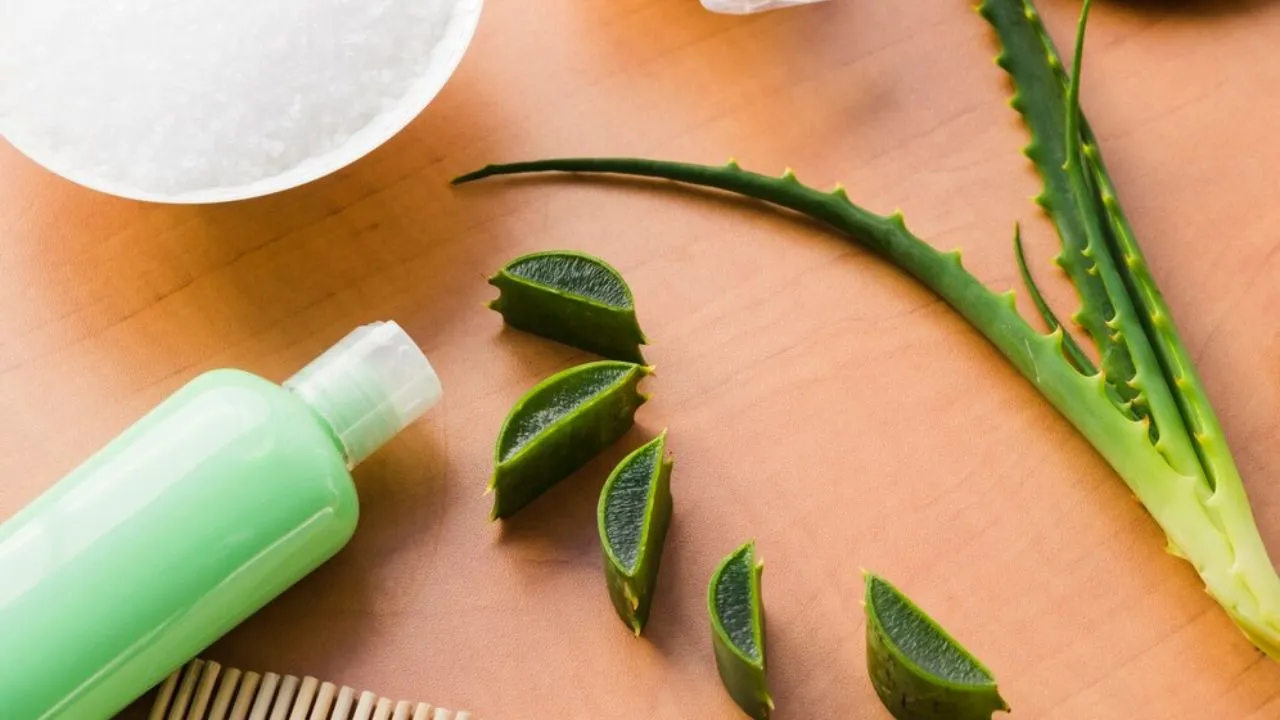 Aloe Vera For Hair Growth