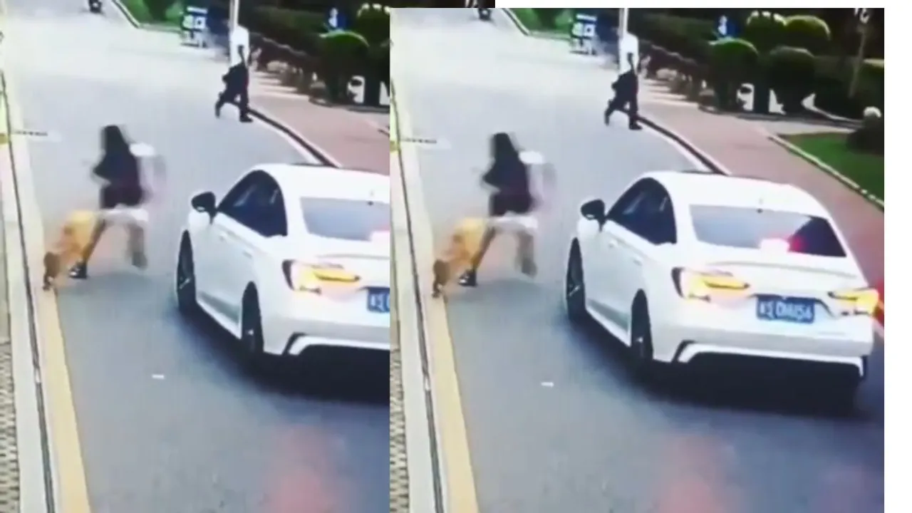 Dog Attack Viral Video