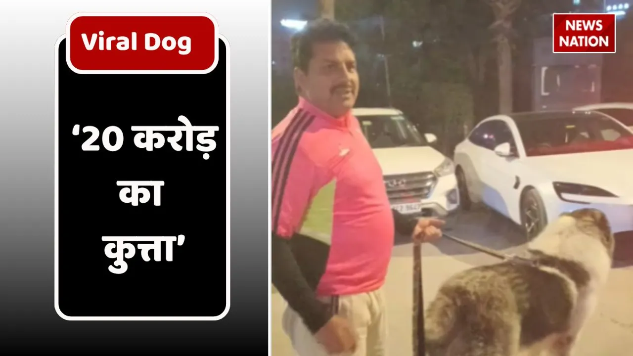 Viral Dog worth 20 crore