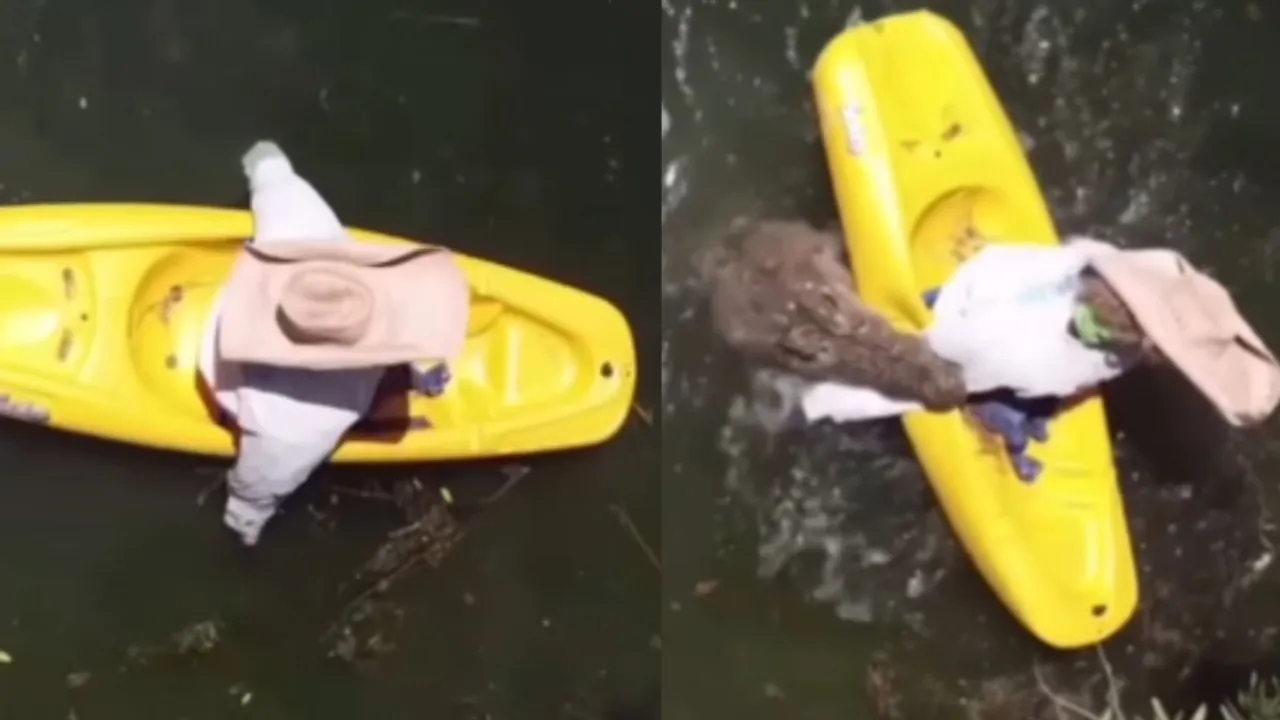 fishing fish viral video