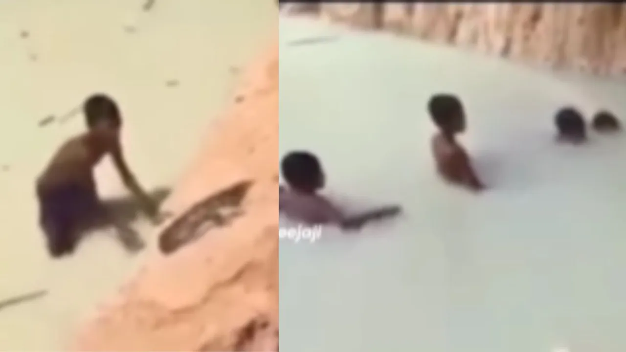 Children caught the python g