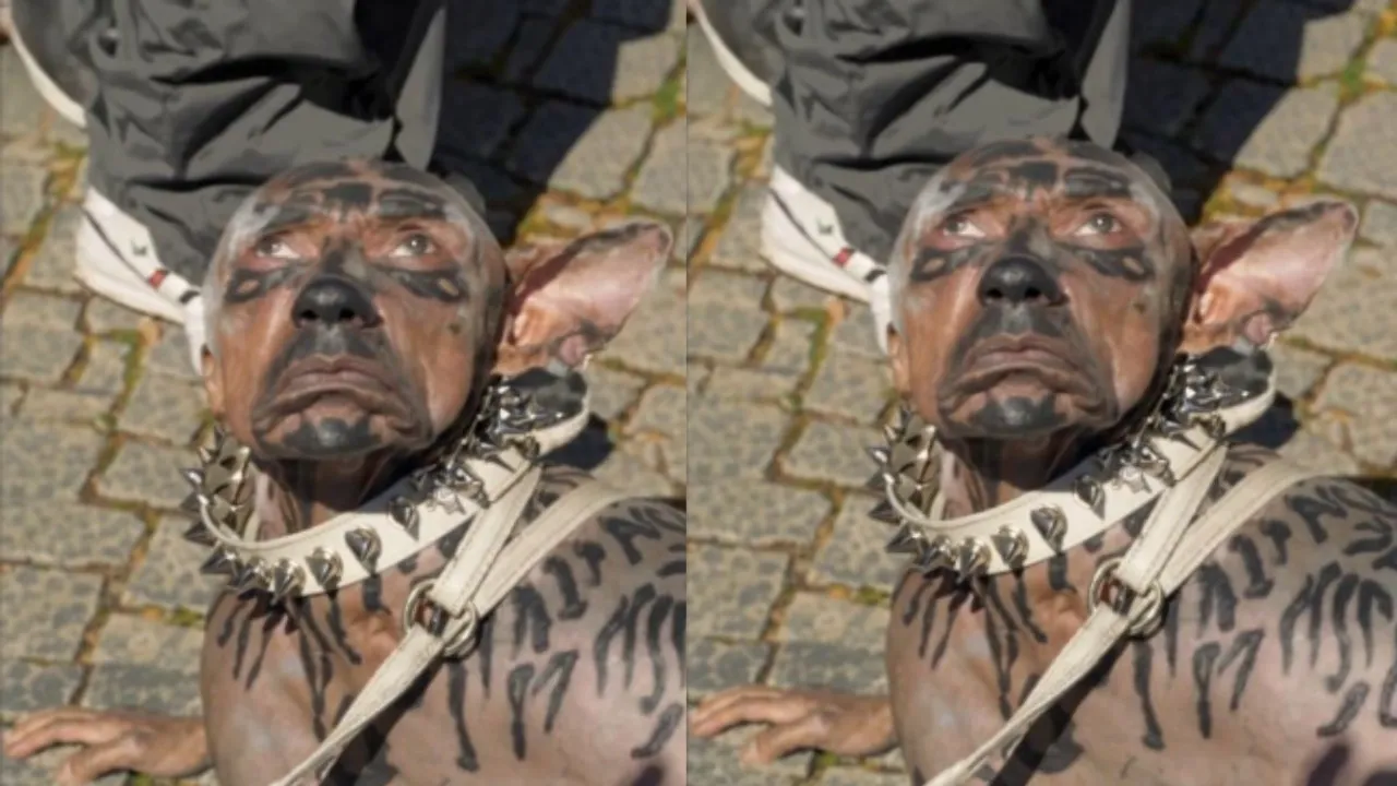 Dog with human face 