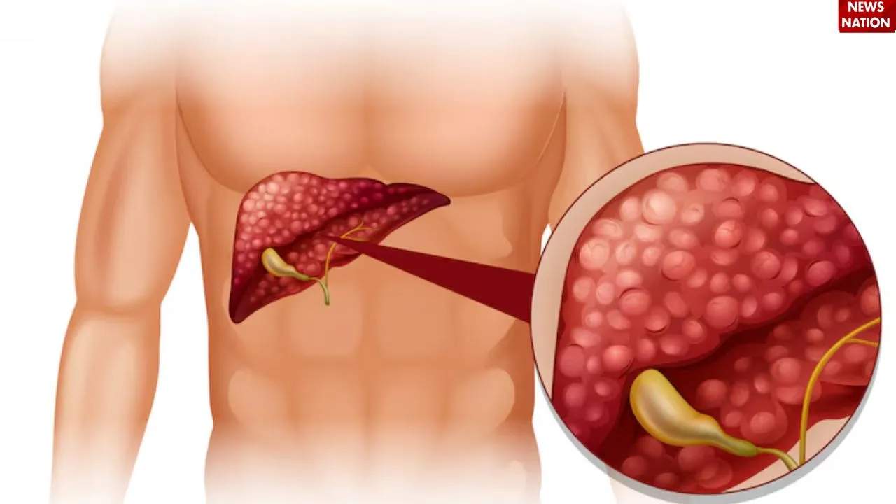 लिवर