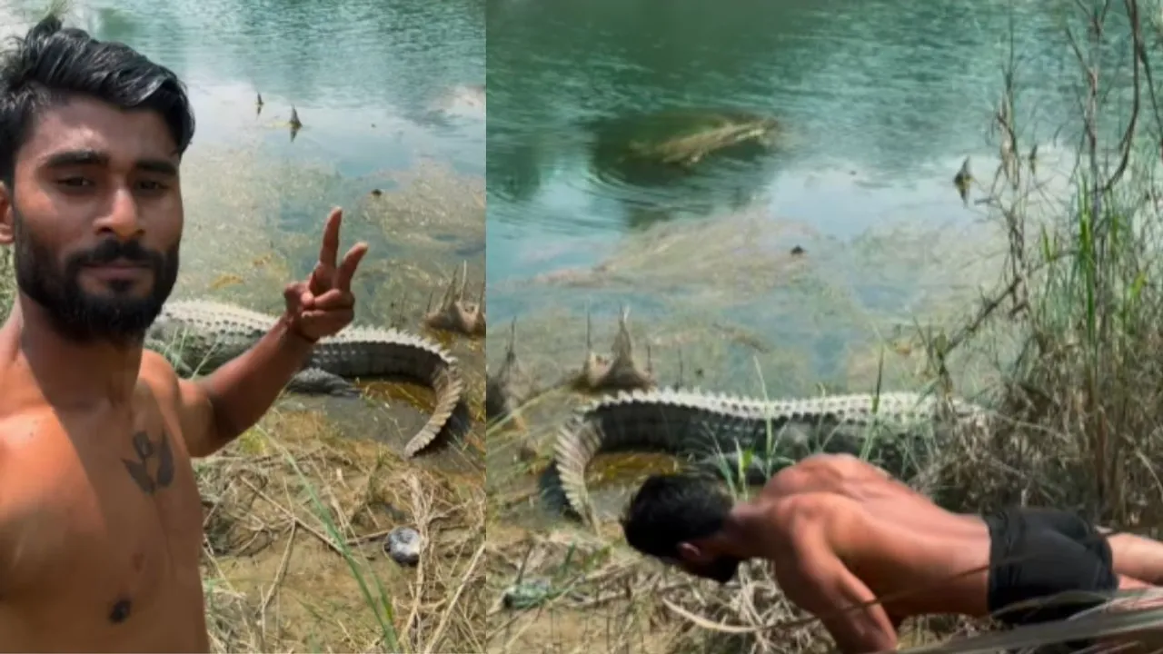 young man went near the crocodile and started doing pushups,