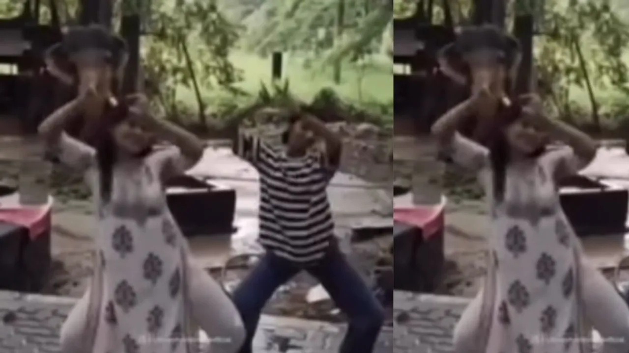 viral dance hathi video