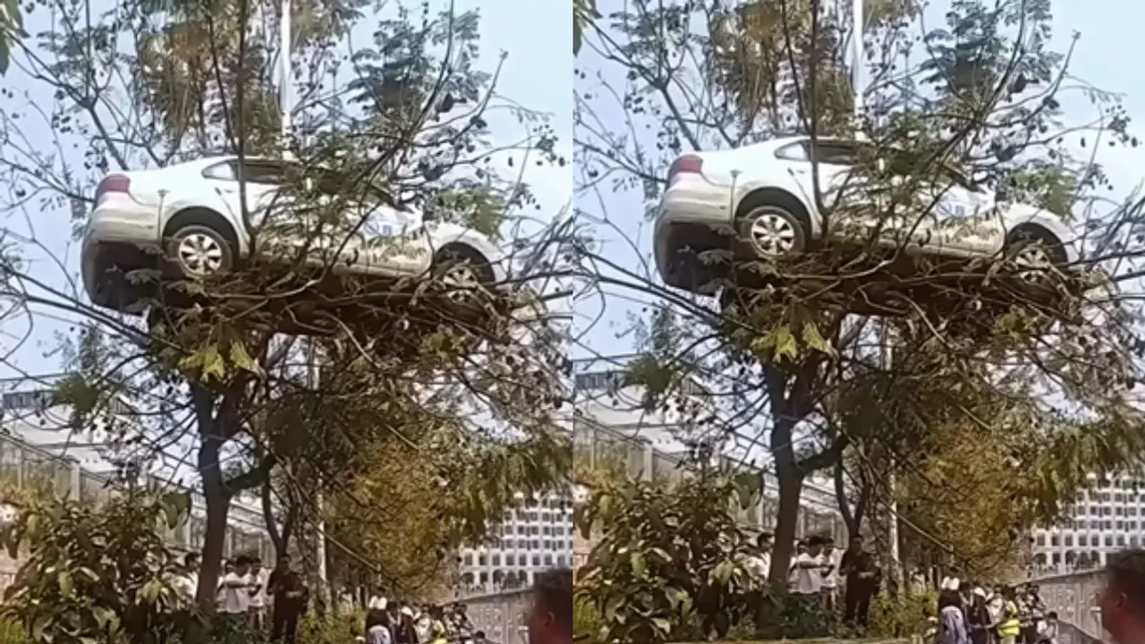 car park video viral