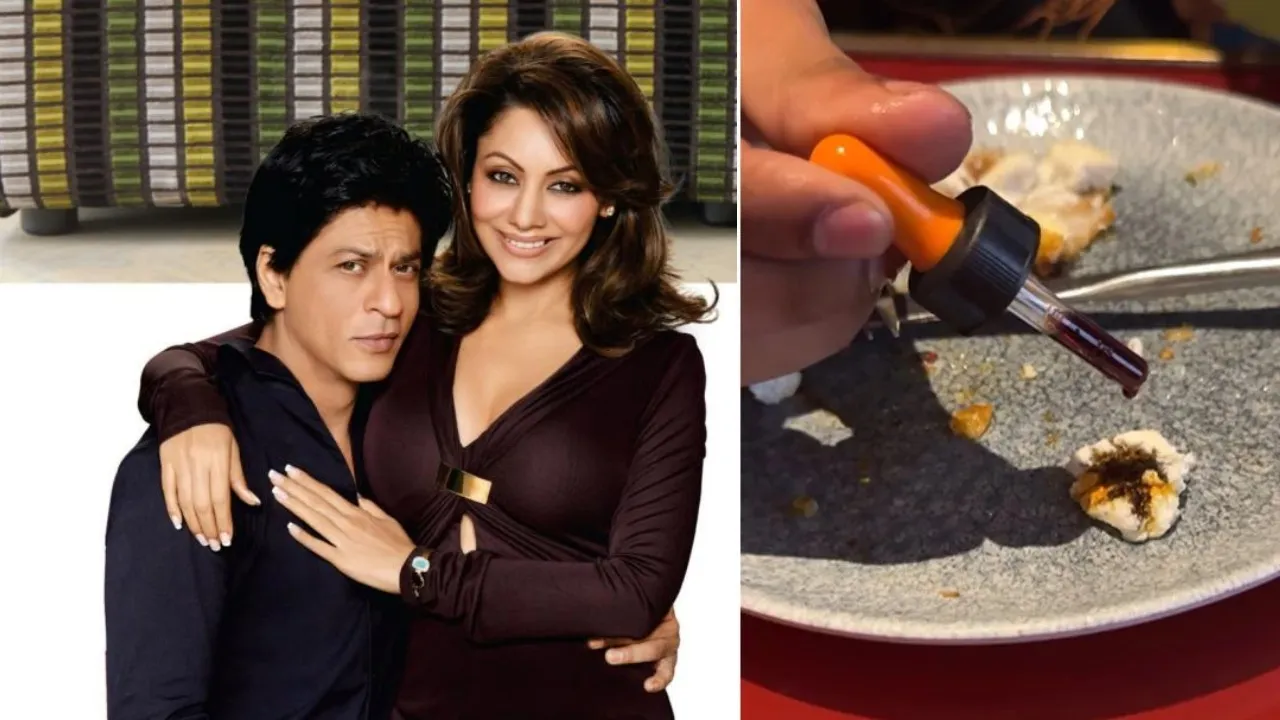 Shahrukh Khan and Gauri Khan restaurant served fake paneer this youtuber shocking claims on torii now team responds .......