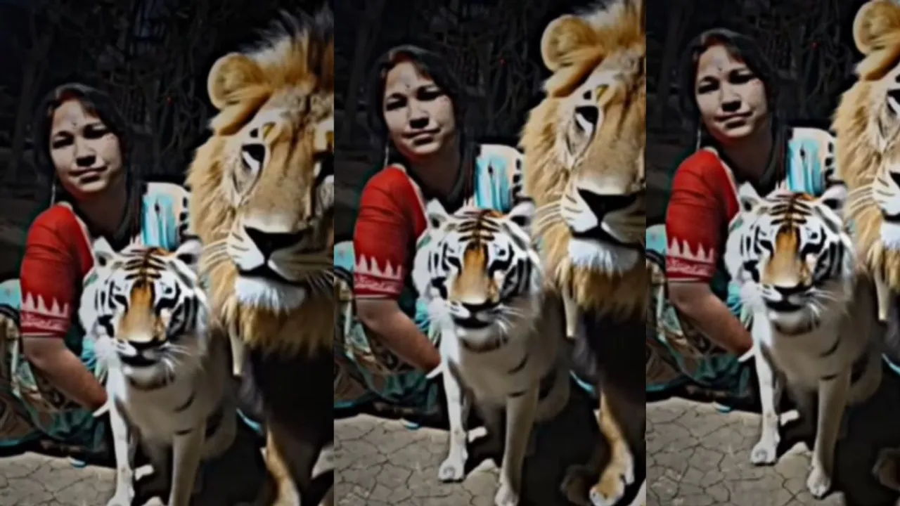 viral tiger video