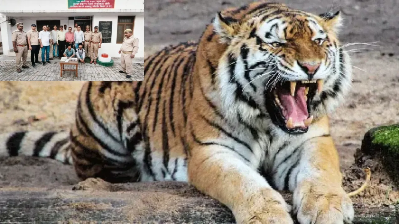 lakhimpur kheri forest department