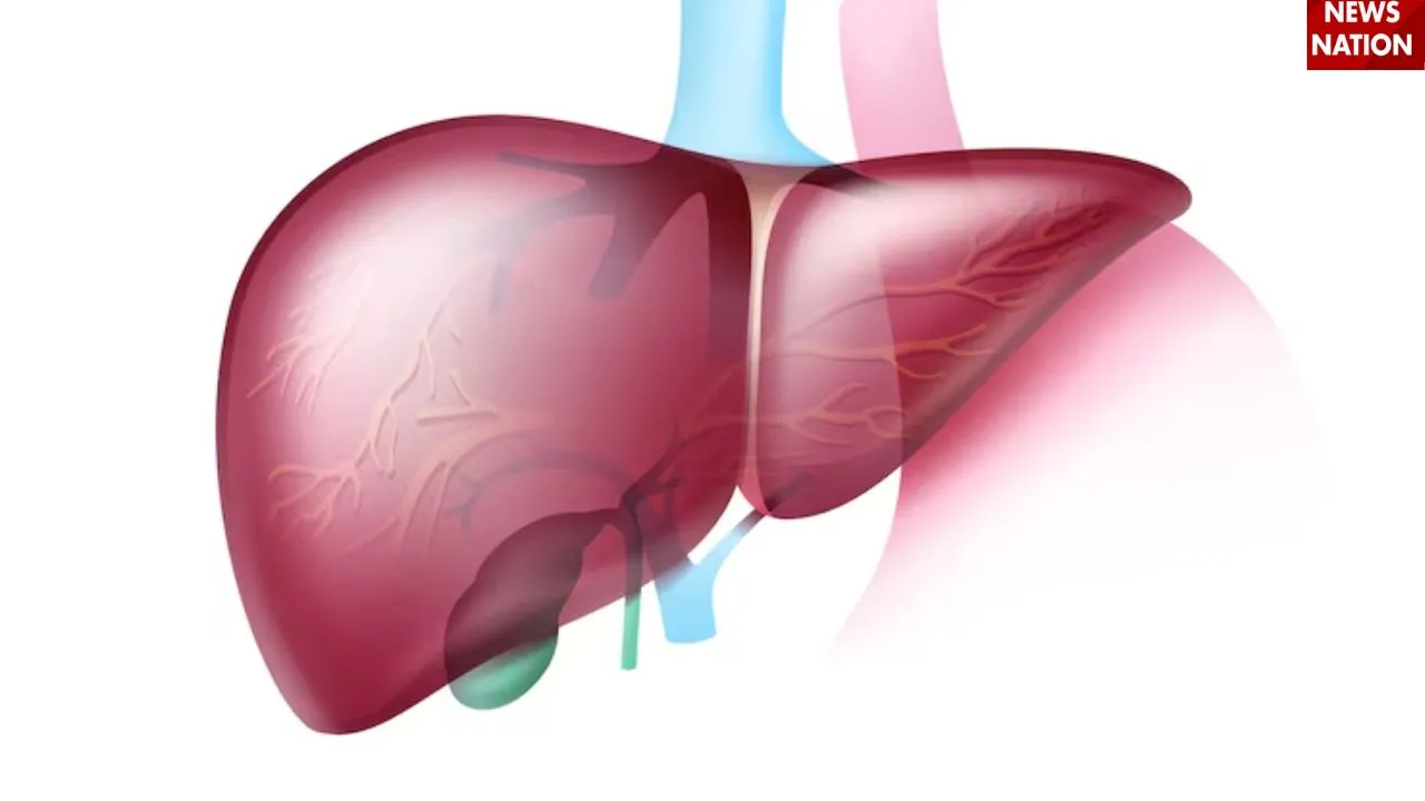 World Liver Day 2025