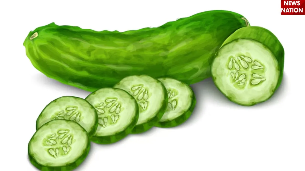 खीरा