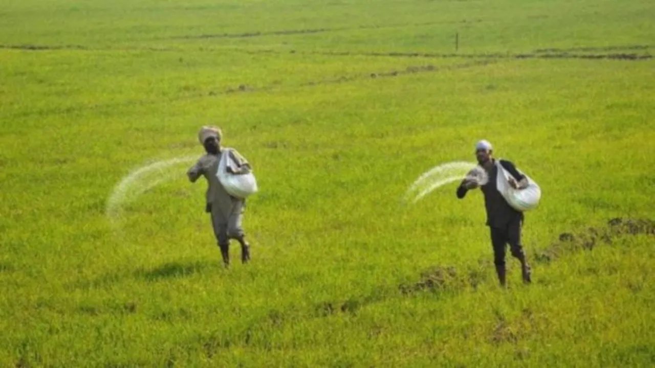 Bihar muzaffarpur farming tips