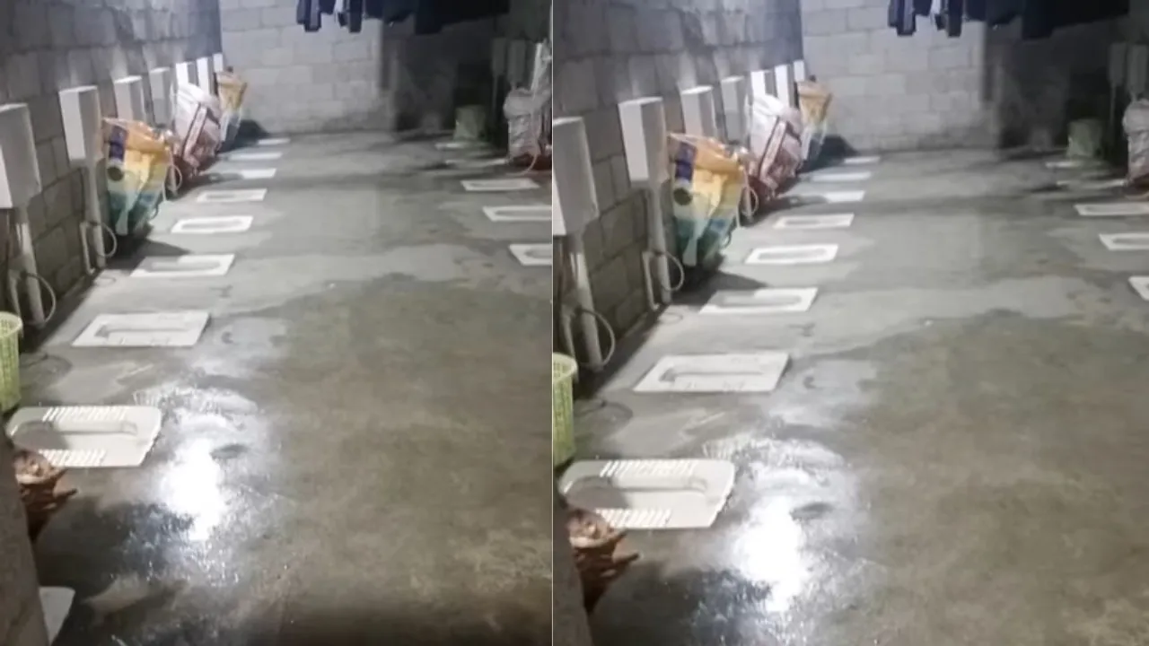 VIRAL TOILETS