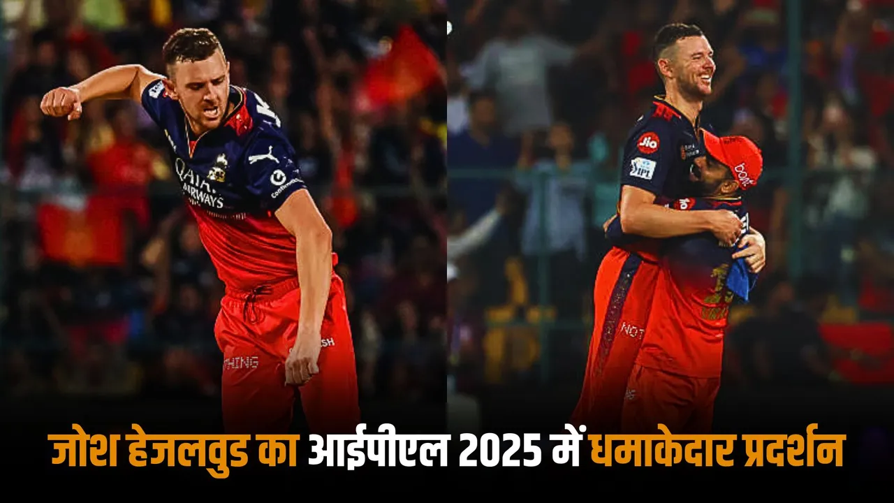 josh Hazlewood paid his price for RCB as aussie pacer has taken 16 wickets in 9 matches
