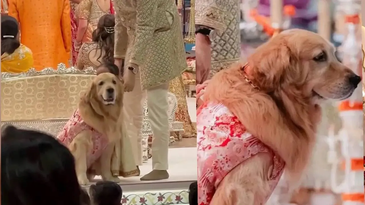 म े् मे्