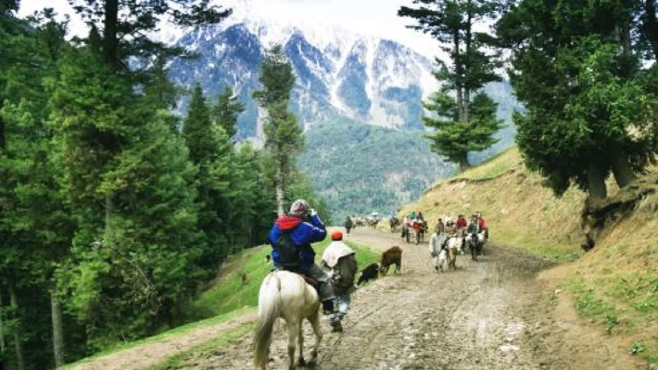 poni rider