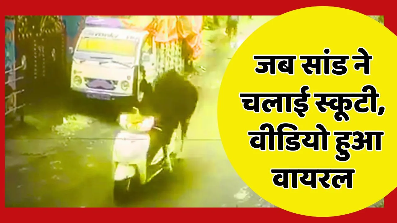Uttarakhand News Bull Ride Scooty