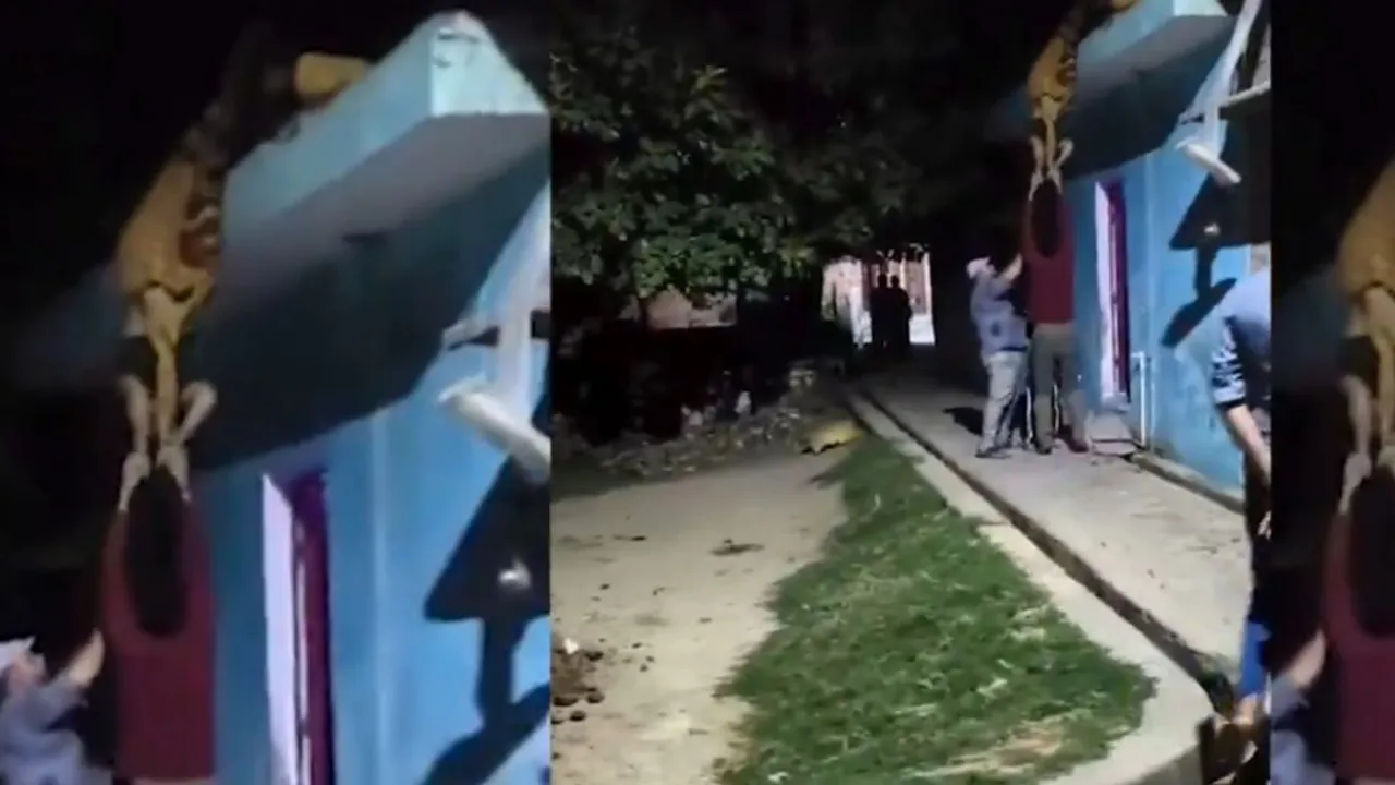 viral video bareilly
