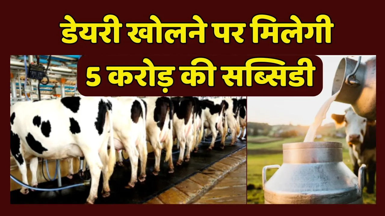 UP Government Give subsidiary on Dairy Business