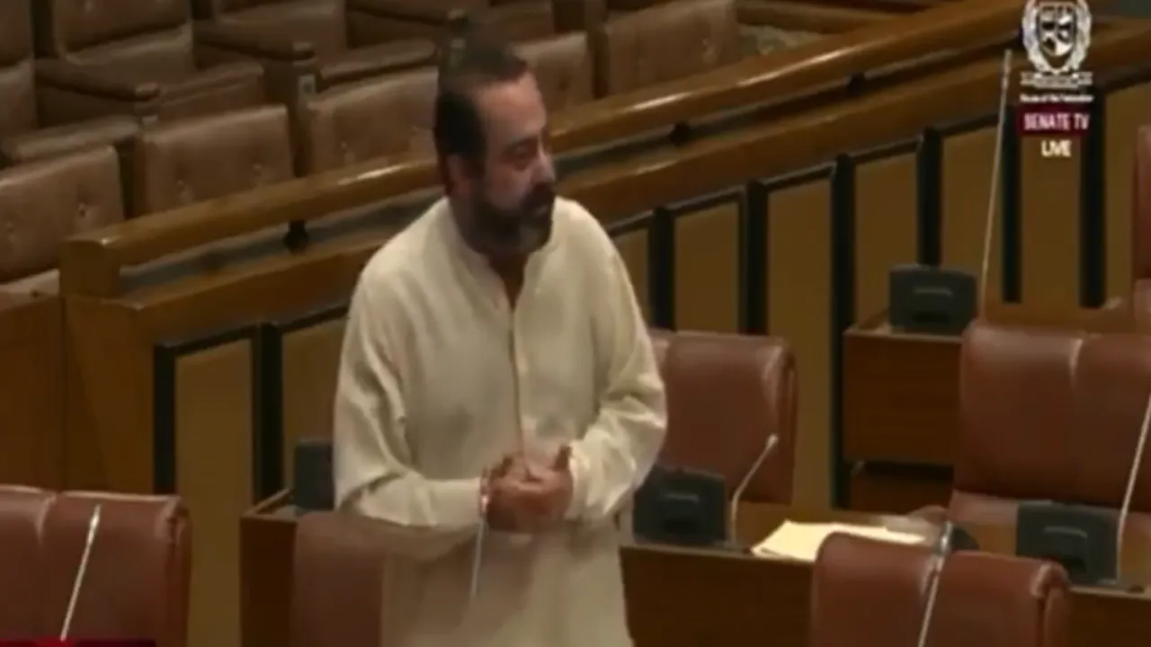 Pakistani Senator Explains Indian Hard Hitting of Pakistan Airbases Big Slap on Shahbaz Sharif Operation Sindoor  