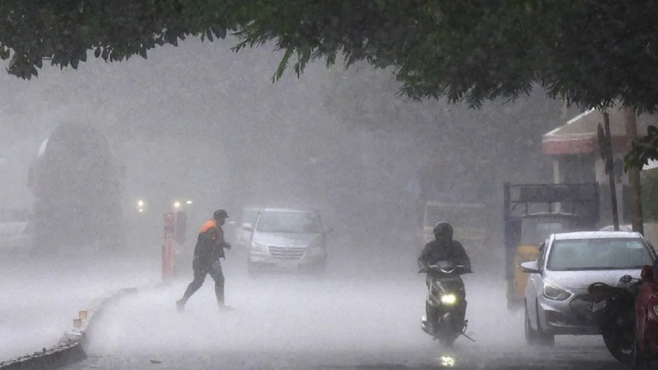 Rain Alert 24 May
