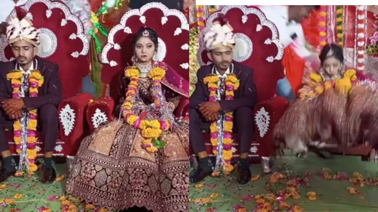 viral couple wedding video