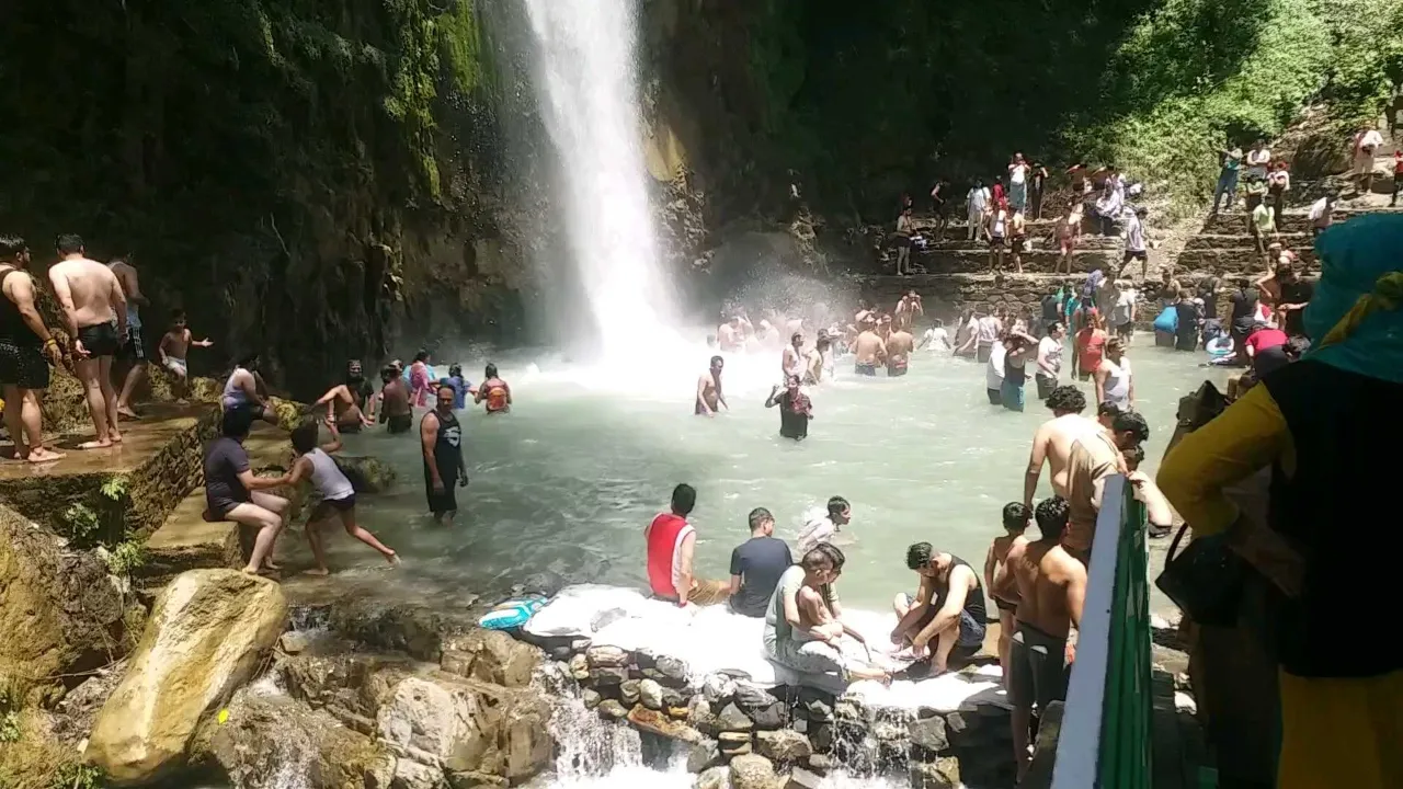 Dehradun tiger fall accident