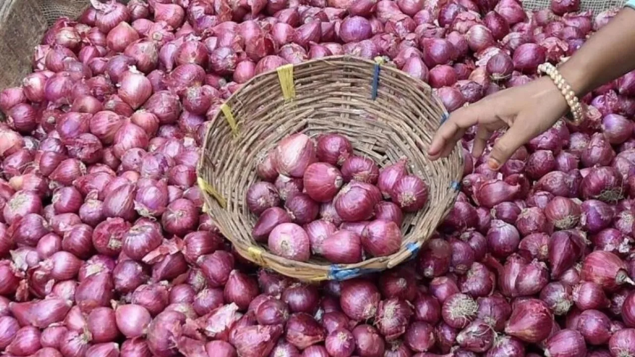 Ujjain onions down price