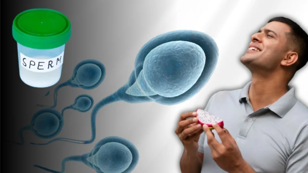 Sperm Donor