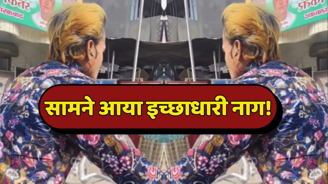 Ichhadhari Naag Video Viral