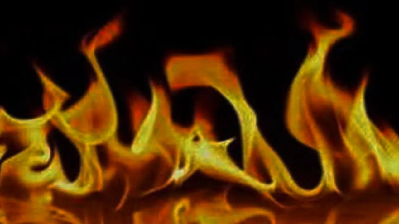 Mumbai Fire News