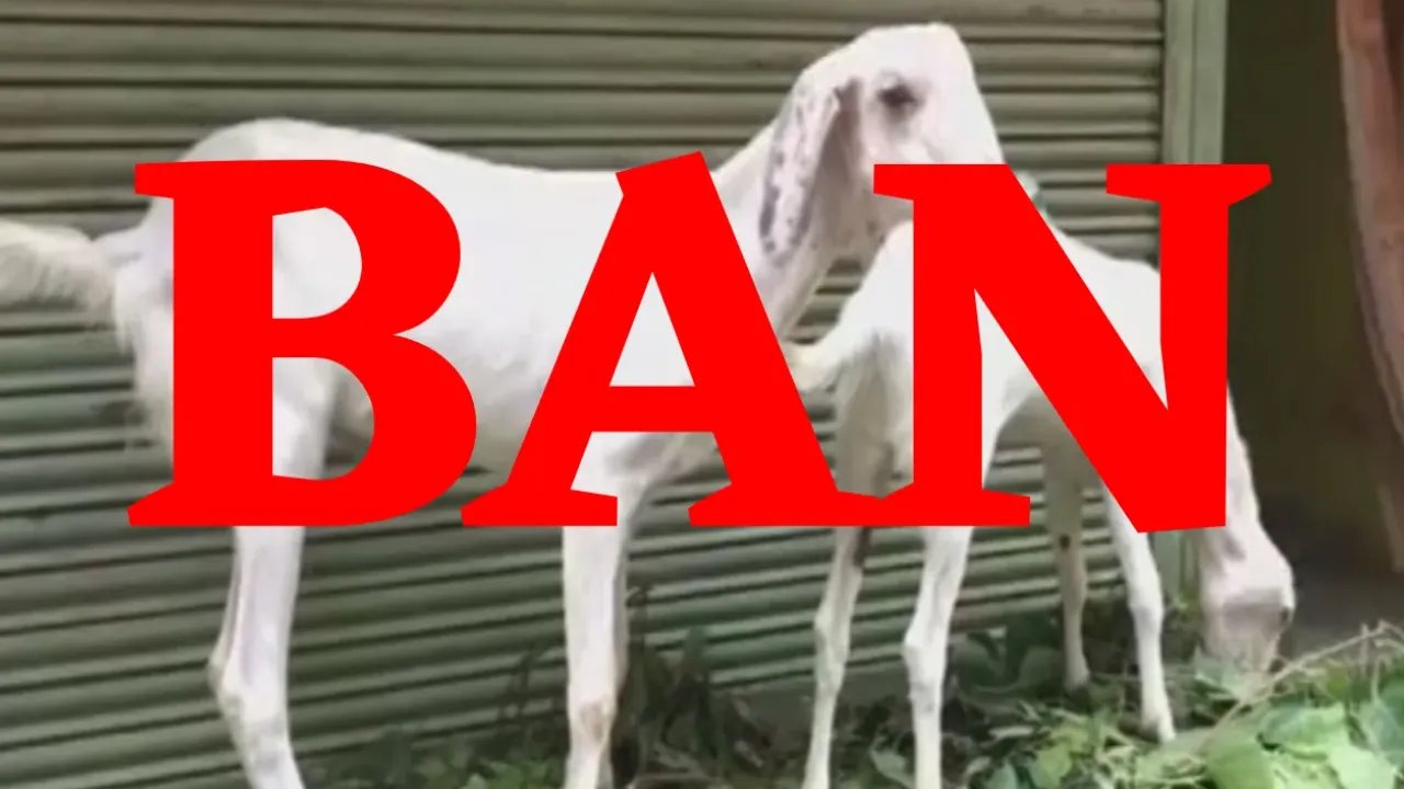   Bakrid Ban in Pakistan for Ahmadiyya Muslim